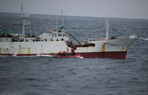 jpg Coast Guard seizes 80 tons of salmon for suspected illegal fishing in the North Pacific Ocean 