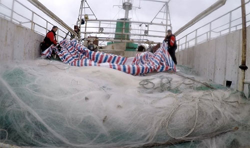 jpg USCGC Alex Haley (WMEC 39) and People's Republic of China Coast Guard crew members uncover an approximately 5.6-mile drift net onboard the fishing vessel Run Da during a joint boarding of the vessel in the North Pacific Ocean, 860 miles east of Hokkaido, Japan, June 16, 2018.