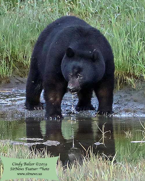 Front Page Feature Photo By CINDY BALZER