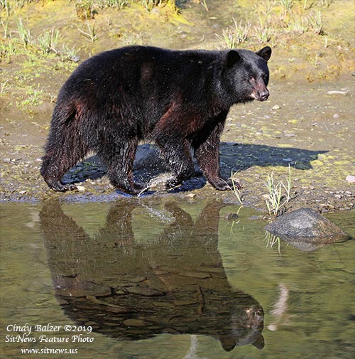 Front PageFeature Photo By CINDY BALZER