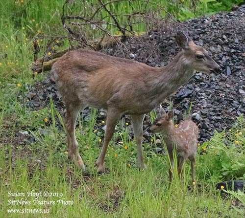 Front Page Feature Photo By SUSAN HOYT