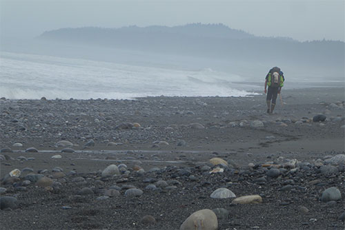 Rugged science on the Southeast coast 