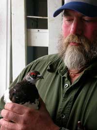 photo Ptarmigan - click here...