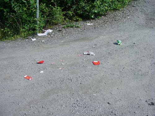 McDonalds trash dumped West of Don King Dr.