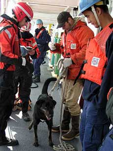 jpg man and dog rescued