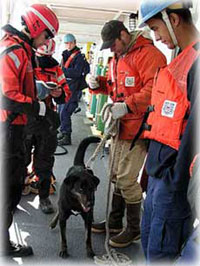 Man & dog rescued