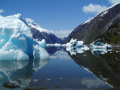 jpg A low tide in May leaves ice bergs stranded on a mud flat in Tracy Arm.