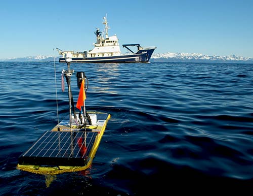 jpg Scientists study ocean acidification in Prince William Sound