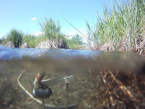 jpg Steep Creek fish cam is up and running on a live–stream 