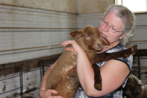 jpg Arctic Woods Farm shares knowledge and food 