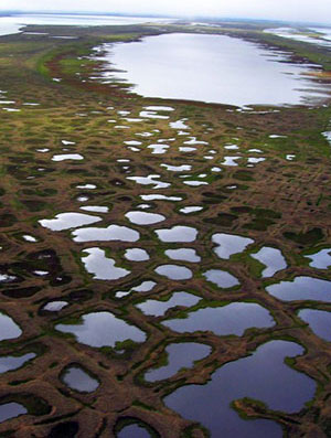 jpg Study: Climate-cooling arctic lakes soak up greenhouse gases