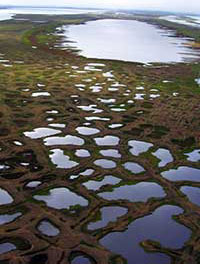 Study: Climate-cooling arctic lakes soak up greenhouse gases 