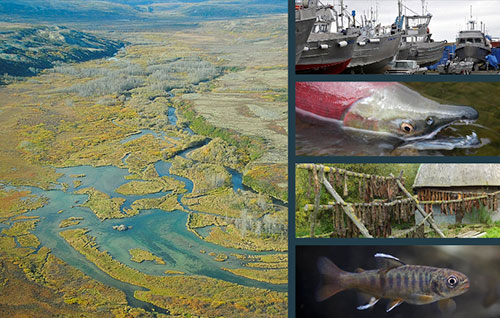 jpg EPA releases new proposal to protect Bristol Bay fisheries from impacts posed by Pebble Mine 