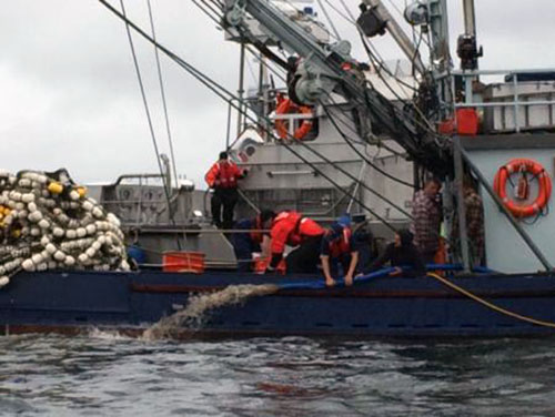 jpg Coast Guard Station Ketchikan boarding team members help the crew of the Fishing Vessel Vernon dewater their engine room near Ketchikan, Alaska,