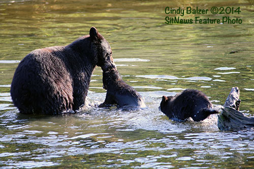 Front Page Photo By CINDY BALZER