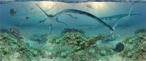 jpg First elasmosaur specimen excavated in Alaska 