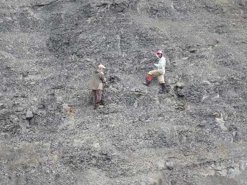 jpg Curvin Metzler (left), who discovered the elasmosaur fossil, and UAMN earth sciences curator Patrick Druckenmiller examine the spot where bones were found sticking out of the cliff in the Talkeetna Mountains.