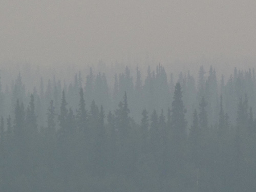 jpg Alaska's wildfires and the changing boreal forest 