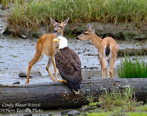 Front Page Feature Photo By CINDY BALZER