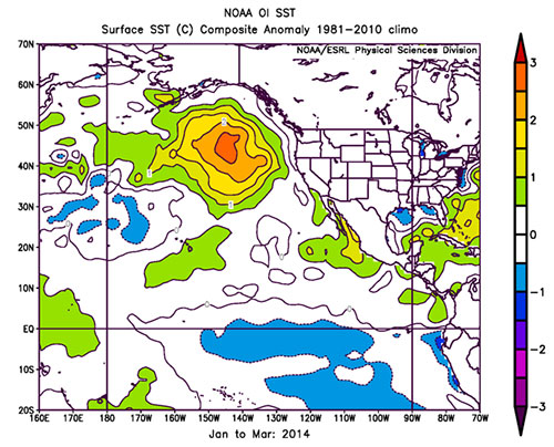 jpg El Nino patterns contributed to long-lived marine heatwave in North Pacific 