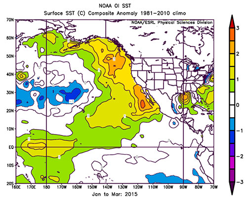 jpg The evolution of sea surface temperature anomalies 2015.