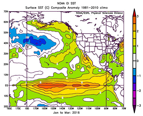 jpg The evolution of sea surface temperature anomalies 2016.