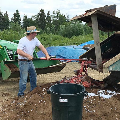 jpg Fish Waste Composting Offers Alternative to Landfill Disposal