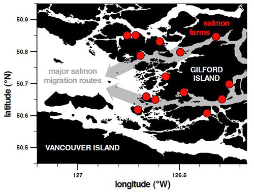jpg Map showing salmon farm locations and major wild salmon migration routes in BC's Broughton Archipelago.