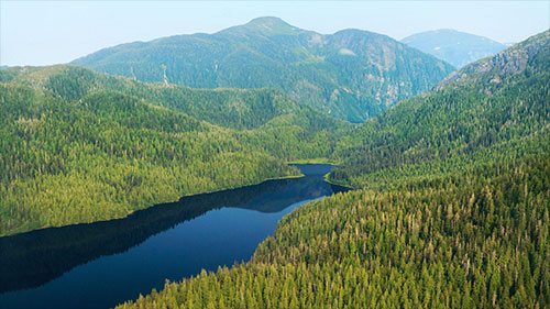 jpg Lawsuit Filed to Force USFS to Disclose the Fate of Promised Reforms 