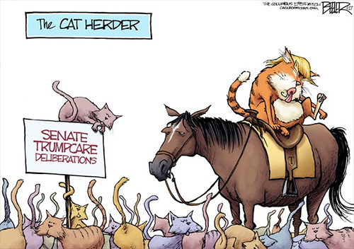 jpg Editorial Cartoon: Cat Herder