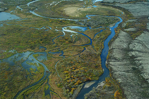 jpg A view of Upper Talarik Creek which flows into Lake Iliamna in the Kvichak River watershed.