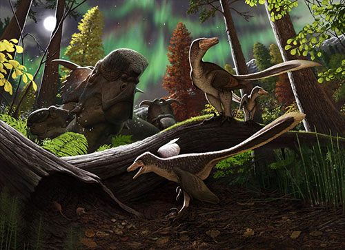jpg Fossil jawbone from Alaska is a rare case of a juvenile Arctic dromaeosaurid dinosaur 