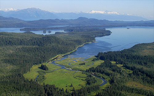 jpg Tongass National Forest: King Salmon River Delta