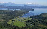 Are the Tongass Timber Wars Finally Over? Biden Administration Moves to Protect Roadless Areas in Tongass National Forest 