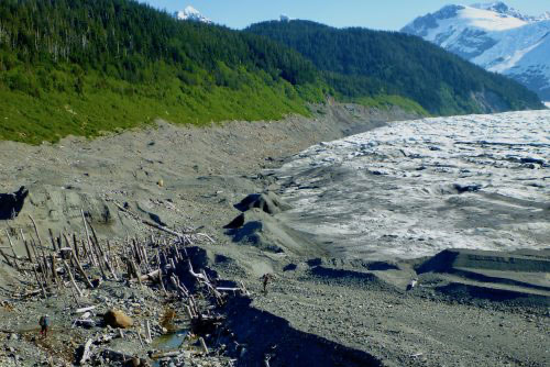 A trip to a ghost forest of Southeast Alaska 