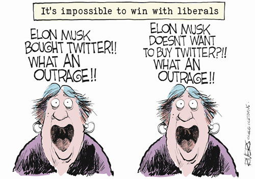 jpg Political Cartoon: Musk and Liberals