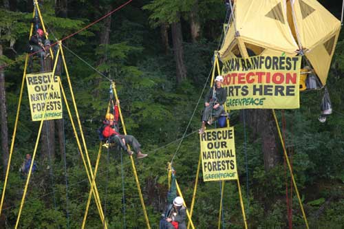 photo Greenpeace activists