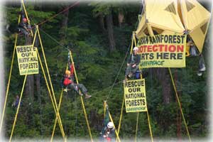 photo Greenpeace activists - click here...