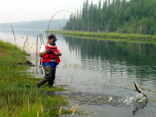 photo pike fishing