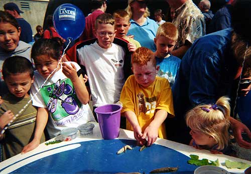 photo  slug races