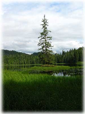 jpg Leaske Lakes Ketchikan, Alaska