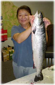 jpg Atlantic salmon Ketchikan, Alaska