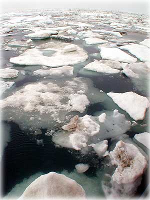 jpg melting arctic sea ice.
