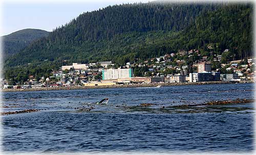 jpg pennock swim challenge