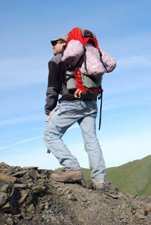 jpg Dinosaur researcher Tony Fiorillo packs out a cast of a hadrosaur footprint in Denali National Park 