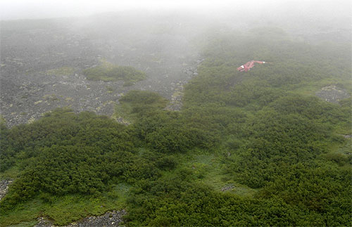 jpg The crash site of the DeHavilland DCH-Z3T Otter near Dillingham