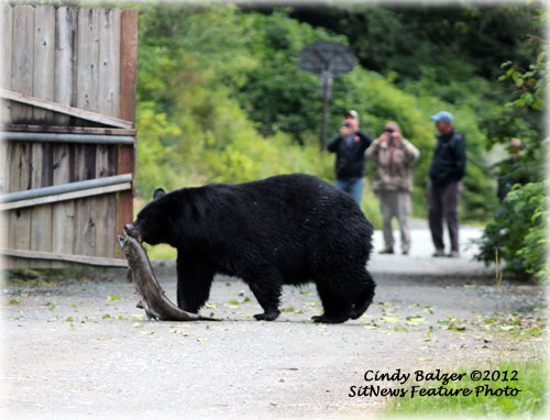 Front Page Photo By Cindy Balzer