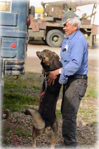 Vet visits Alaska pets in need of medical attention