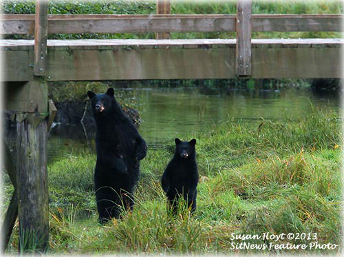 Front Page Photograph By SUSAN HOYT