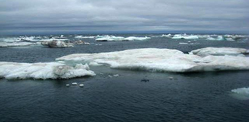 jpg Huge waves measured for first time in Arctic Ocean